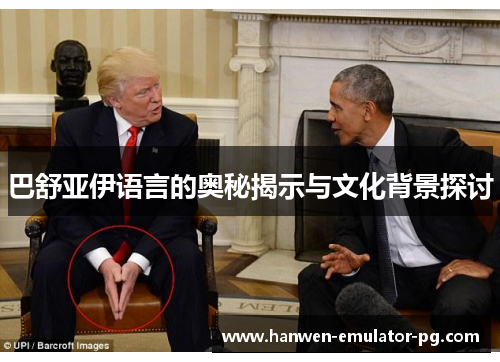 巴舒亚伊语言的奥秘揭示与文化背景探讨